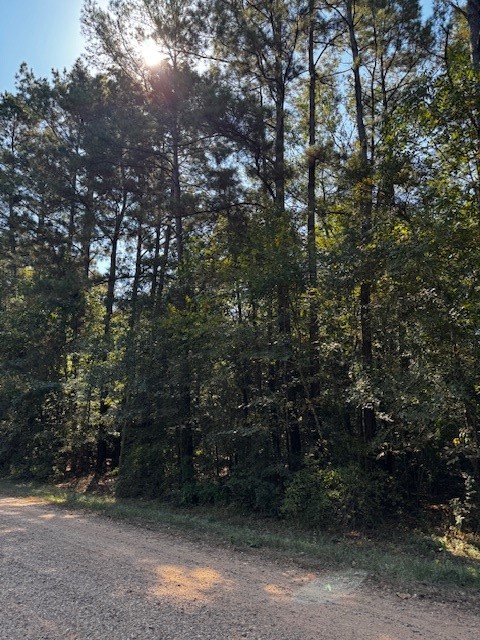 0 County Road 2175 Cleveland, TX 77327 - Photo 6 of 6