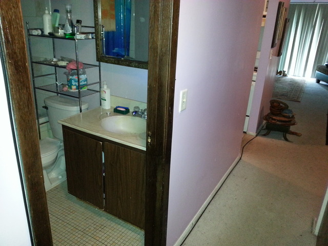 2405 Spring Street, Unit 4903 Woodridge, IL 60517 - Photo 11 of 14