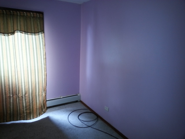 2405 Spring Street, Unit 4903 Woodridge, IL 60517 - Photo 14 of 14