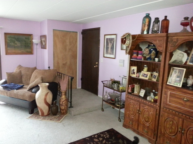 2405 Spring Street, Unit 4903 Woodridge, IL 60517 - Photo 5 of 14