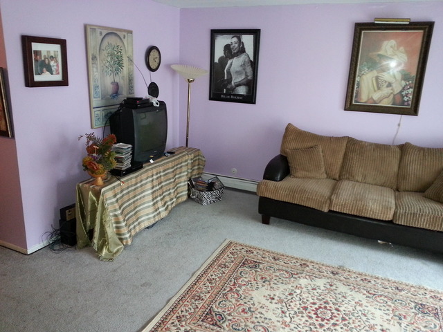 2405 Spring Street, Unit 4903 Woodridge, IL 60517 - Photo 6 of 14