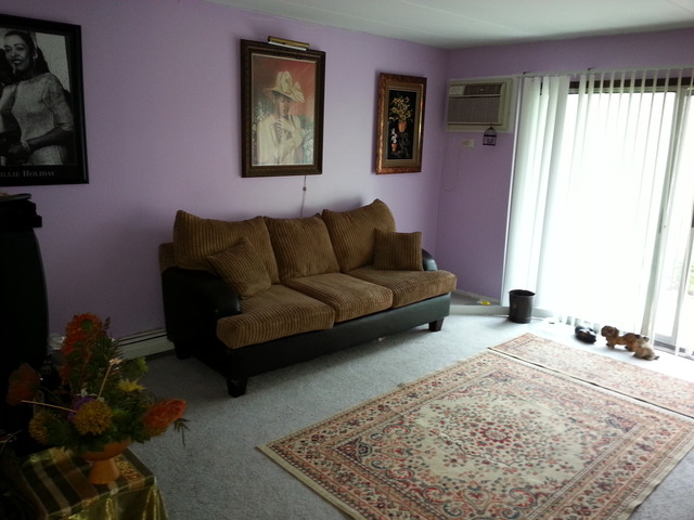 2405 Spring Street, Unit 4903 Woodridge, IL 60517 - Photo 7 of 14