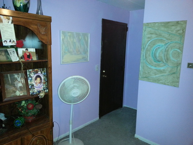 2405 Spring Street, Unit 4903 Woodridge, IL 60517 - Photo 8 of 14