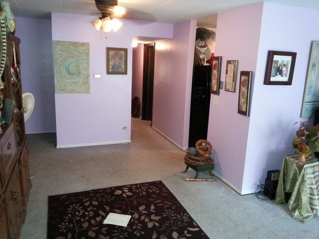 2405 Spring Street, Unit 4903 Woodridge, IL 60517 - Photo 9 of 14