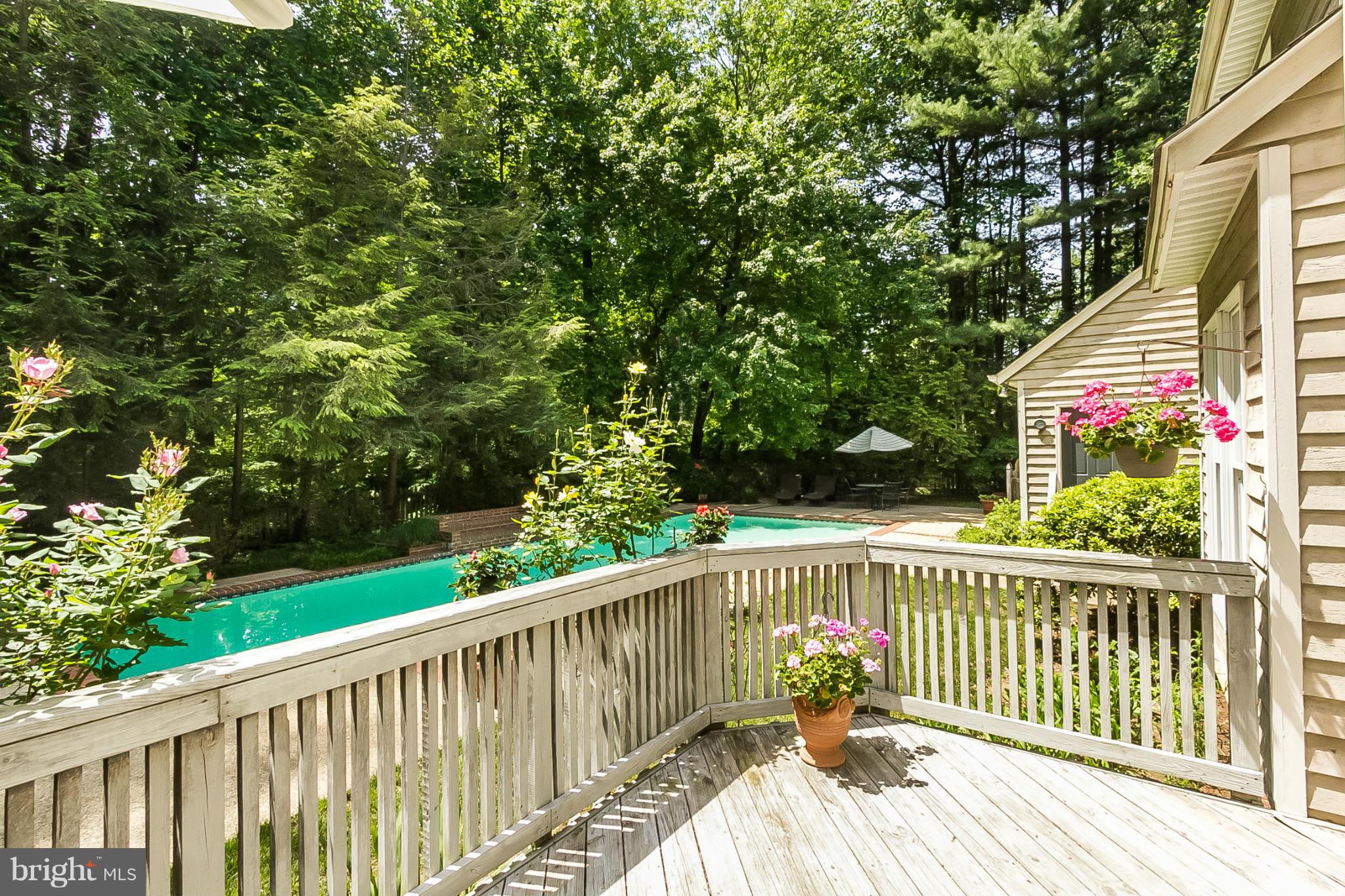 25 Shadow Point Court Edgewater, MD 21037 - Photo 12 of 28 View from deck