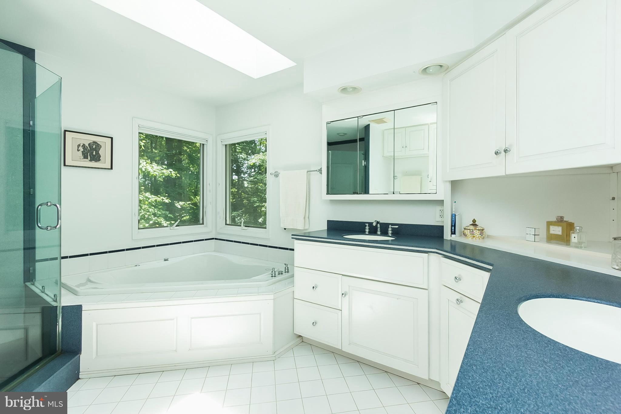 25 Shadow Point Court Edgewater, MD 21037 - Photo 24 of 28 Corner garden tub under skylight