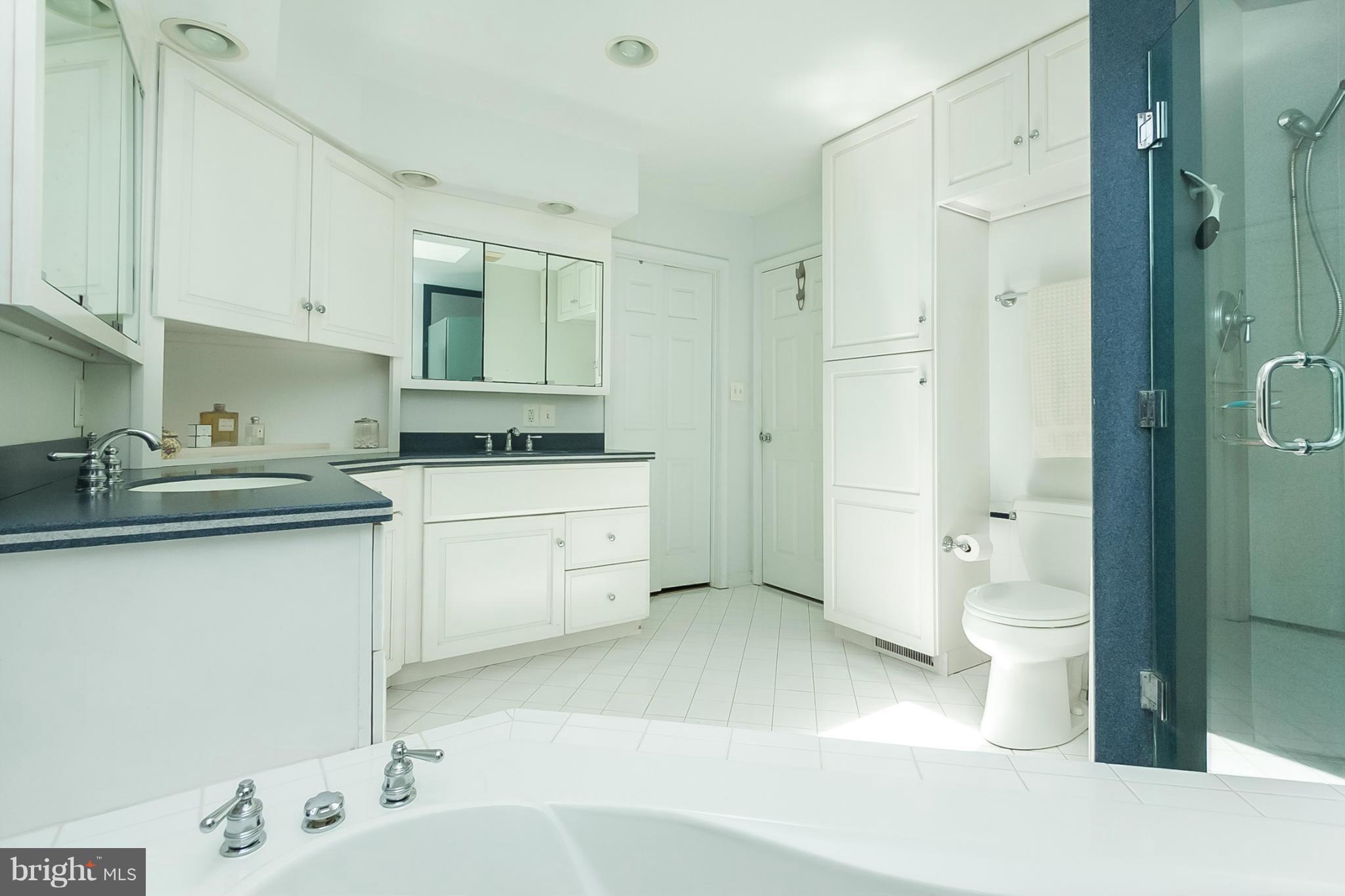 25 Shadow Point Court Edgewater, MD 21037 - Photo 26 of 28 Separate Corian shower