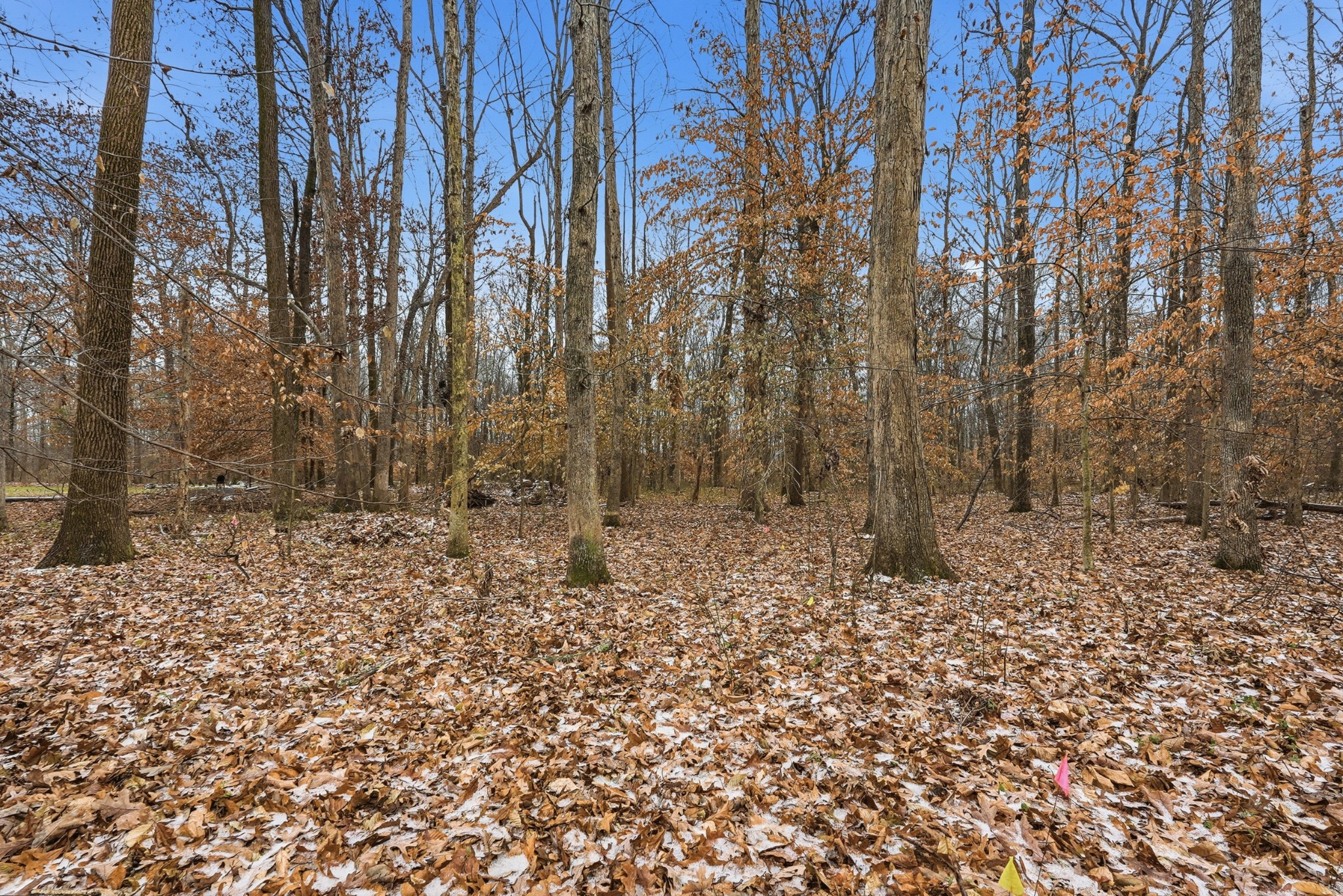 0 Independence Street Springfield, TN 37172 - Photo 2 of 21 a backyard of a house with lots of green space