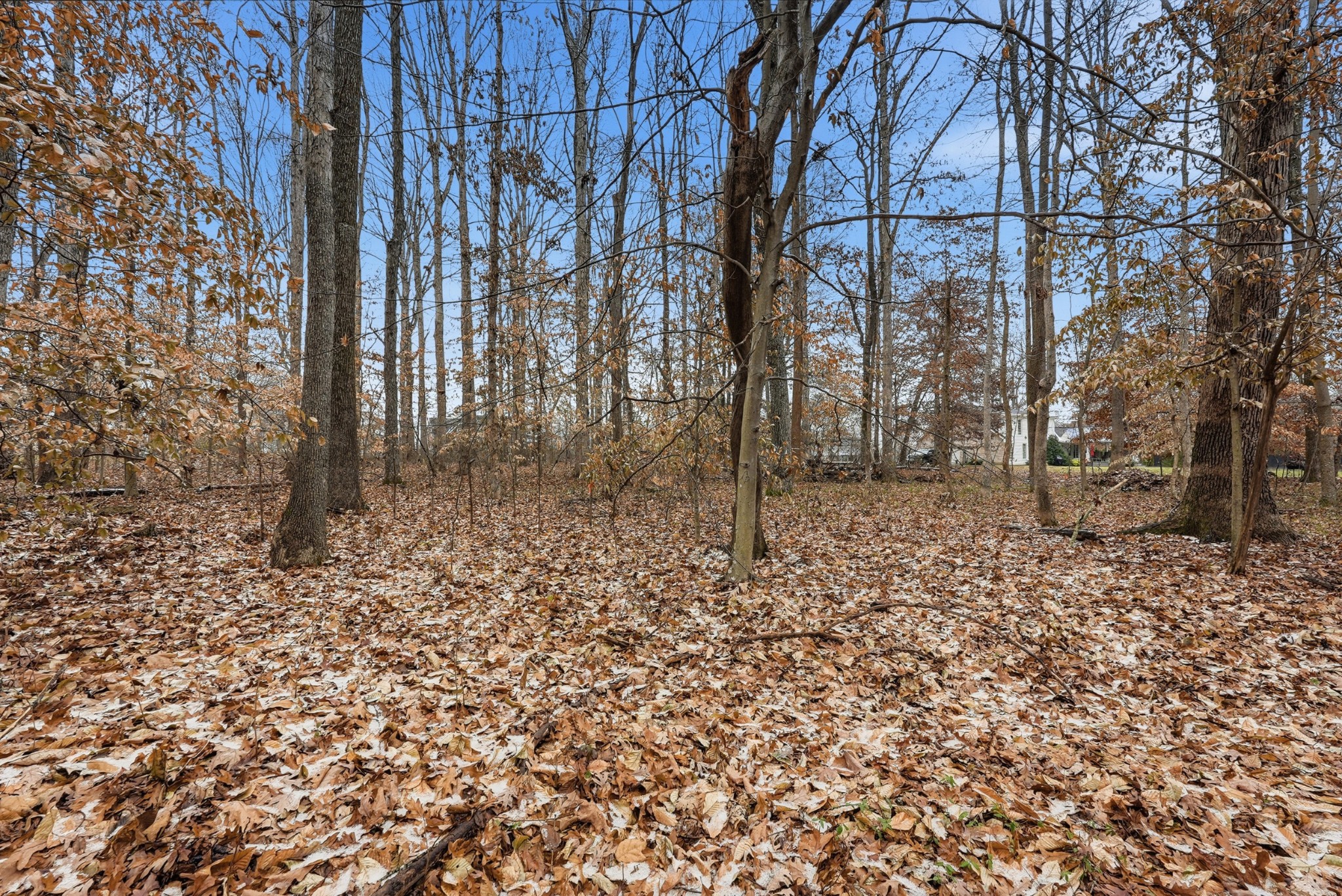 0 Independence Street Springfield, TN 37172 - Photo 3 of 21 a backyard of a house with lots of green space