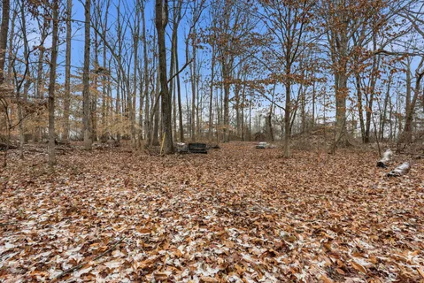 a view of a backyard with large trees