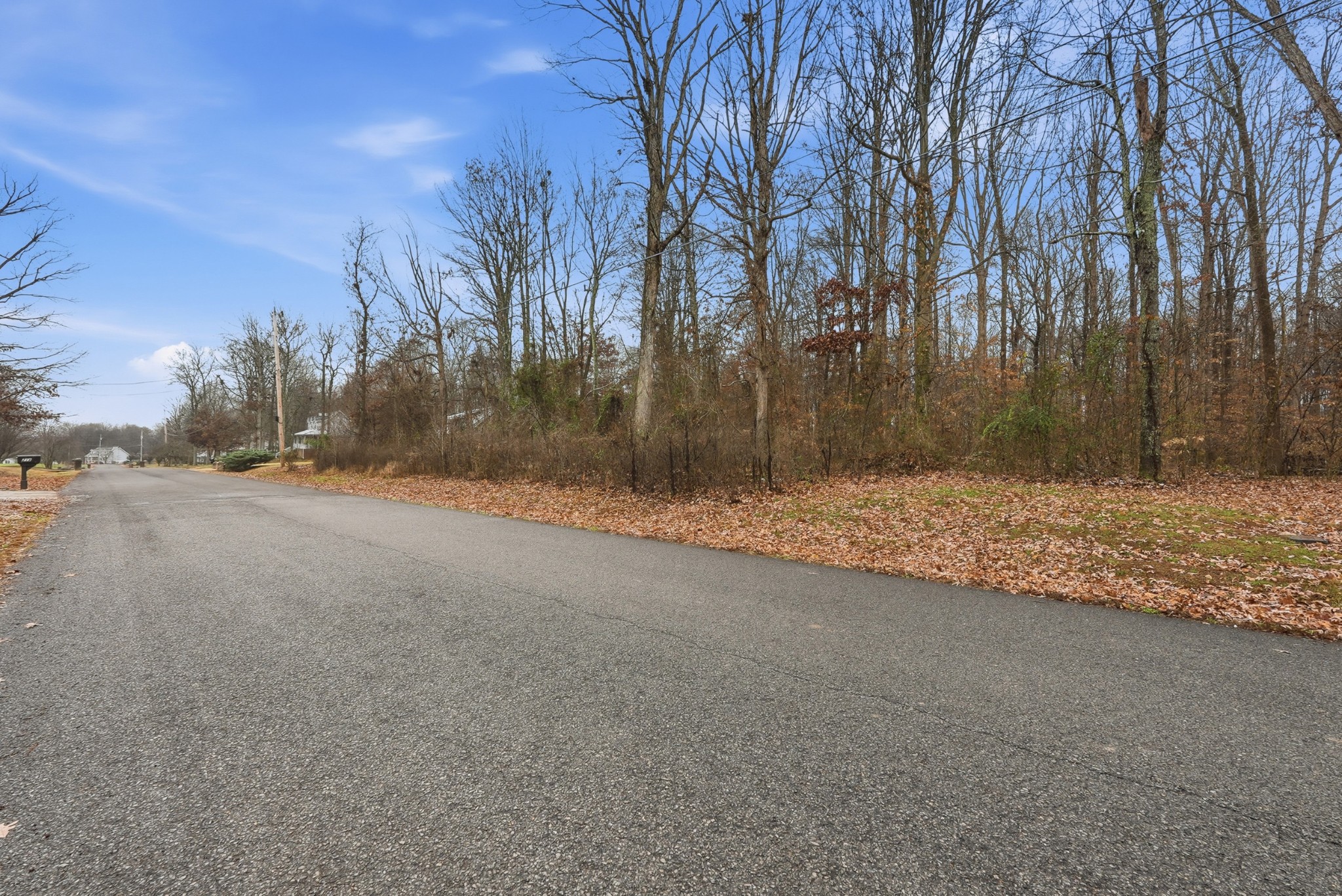 0 Independence Street Springfield, TN 37172 - Photo 5 of 21 a view of large space with lots of trees
