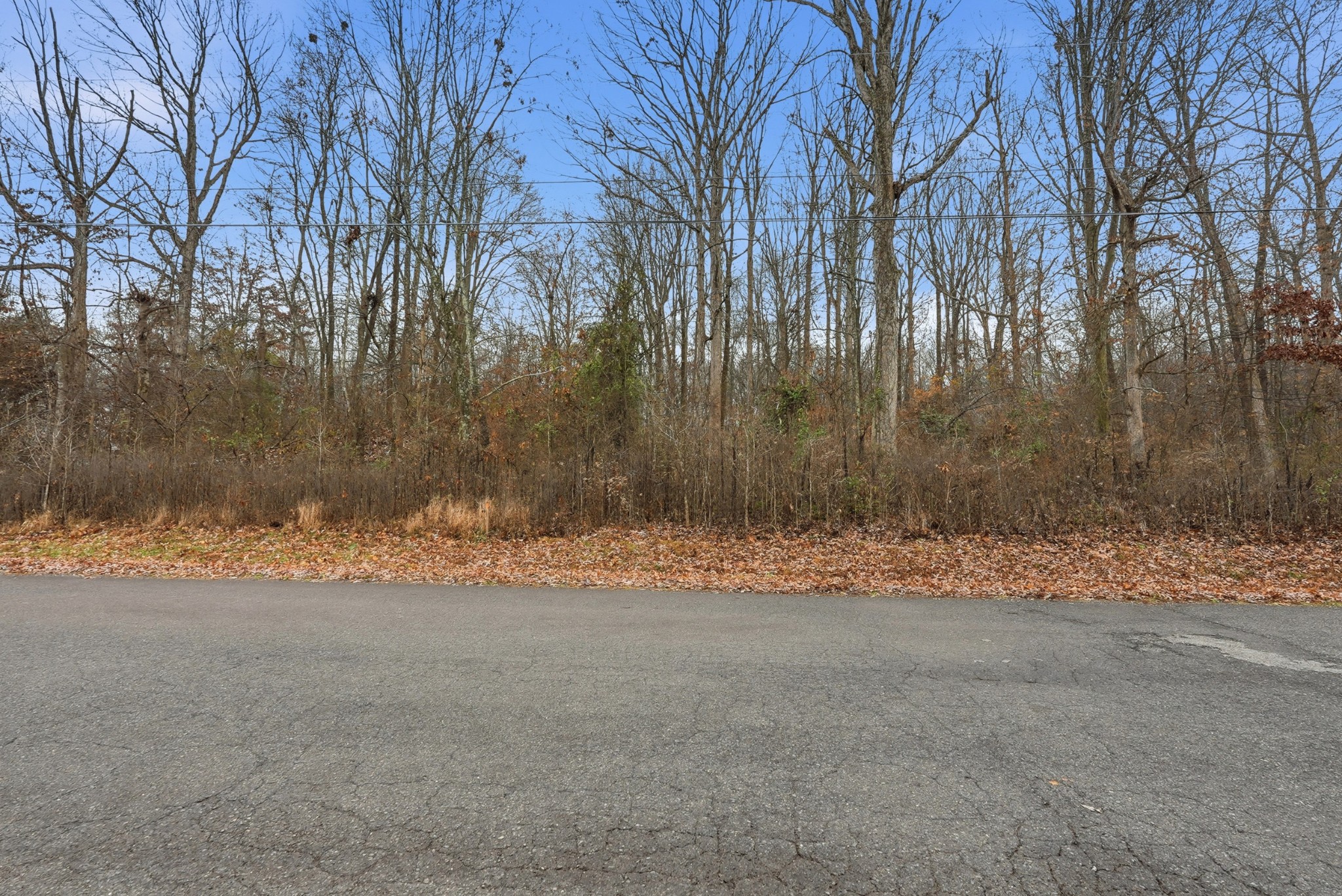 0 Independence Street Springfield, TN 37172 - Photo 6 of 21 a view of road and trees