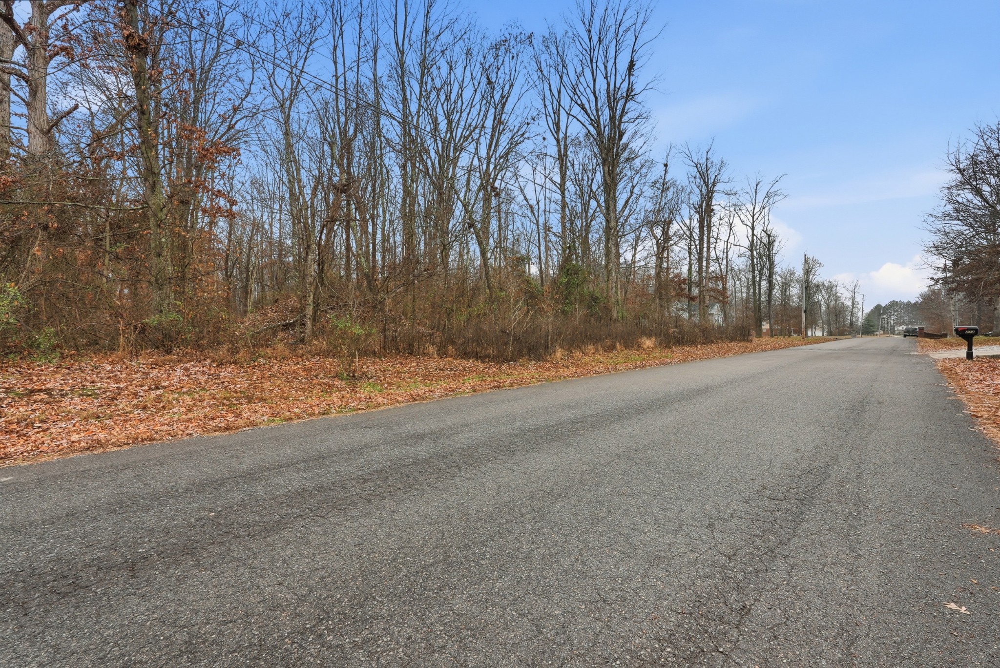 0 Independence Street Springfield, TN 37172 - Photo 7 of 21 a view of road and trees
