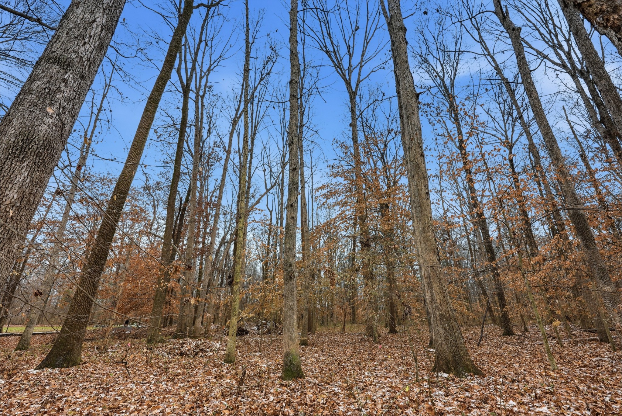 0 Independence Street Springfield, TN 37172 - Photo 8 of 21 a view of backyard with green space