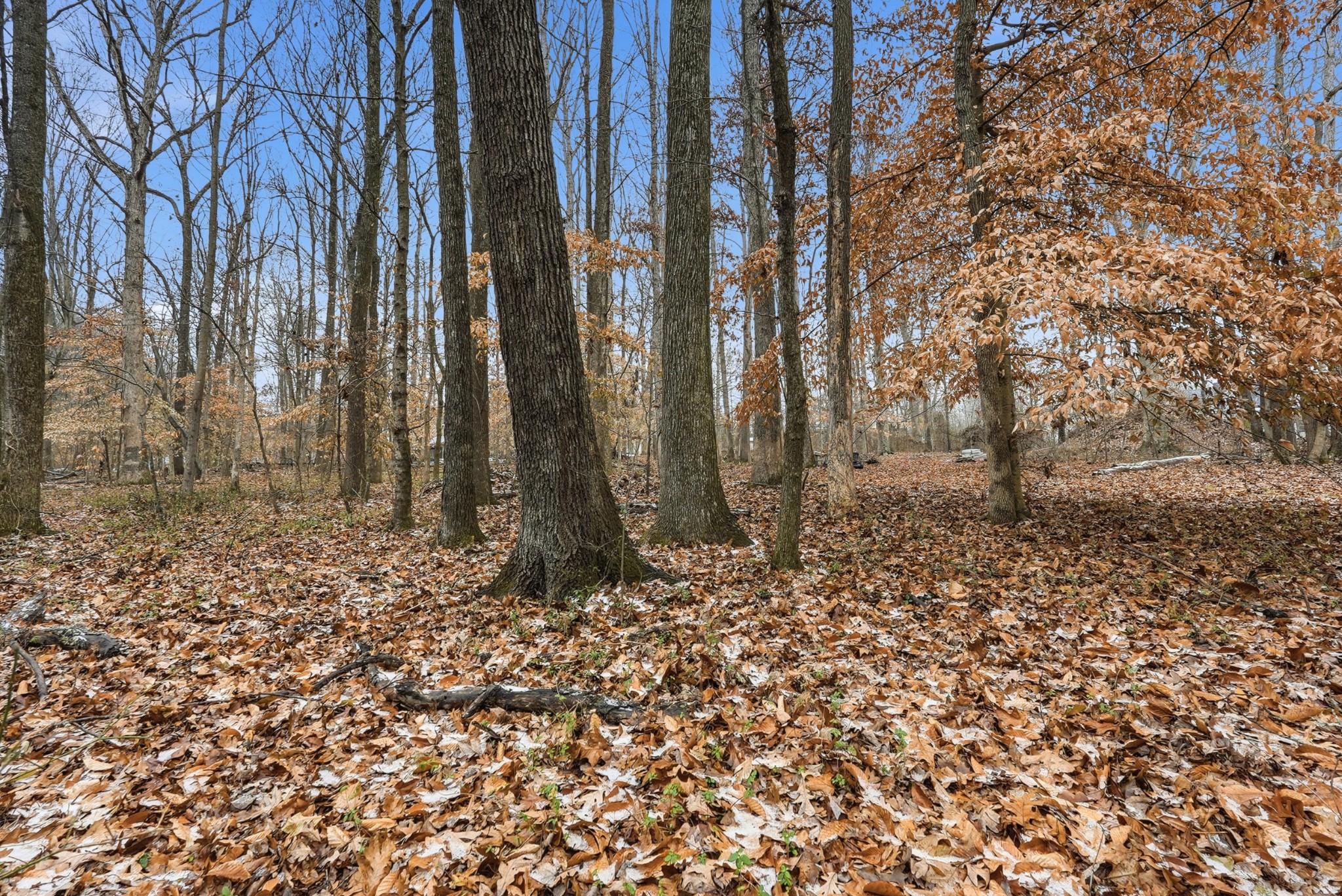 0 Independence Street Springfield, TN 37172 - Photo 9 of 21 a backyard of a house with lots of green space