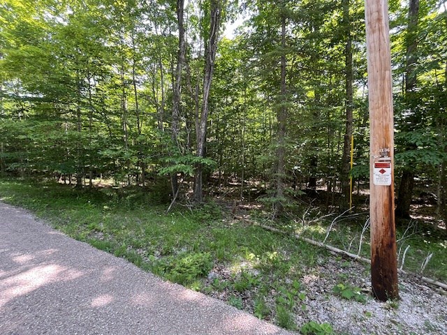 Lot 28 Fawn Lane Ellison Bay, WI 54210 - Photo 2 of 8