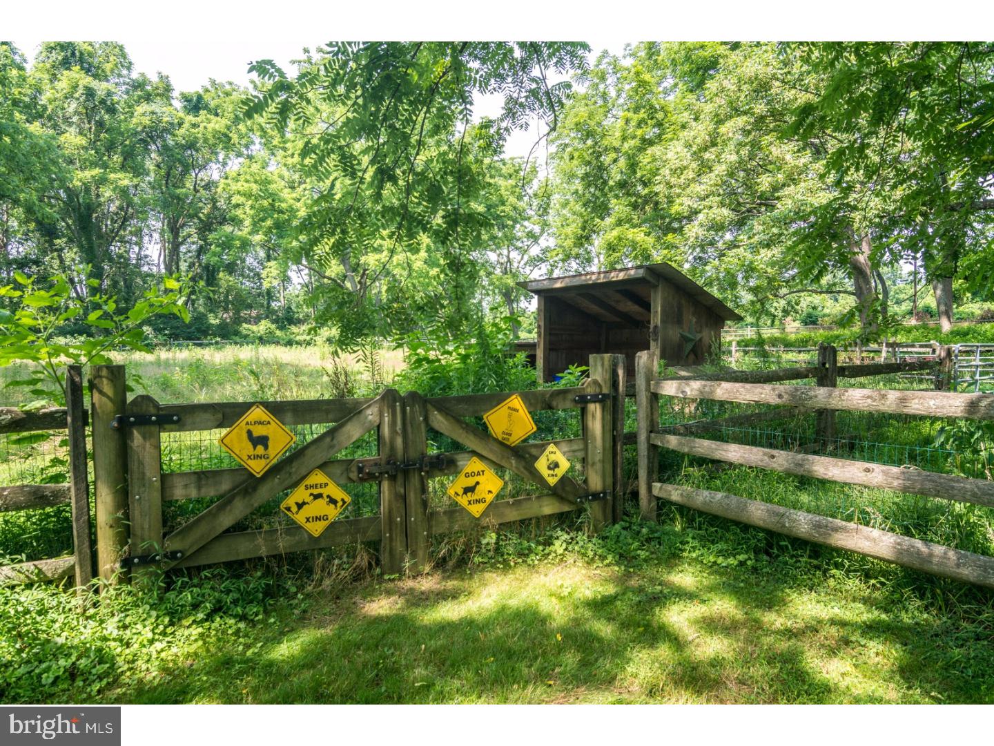 5441 Ash Road Doylestown, PA 18902 - Photo 20 of 25