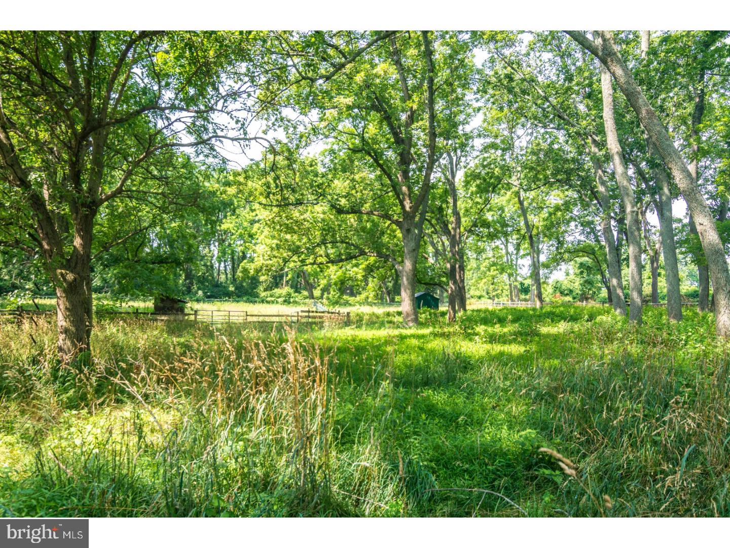 5441 Ash Road Doylestown, PA 18902 - Photo 22 of 25