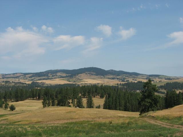 0 Stentz Road, Unit LOT 7 Spangle, WA 99031 - Photo 1 of 4 Gallery Image 1