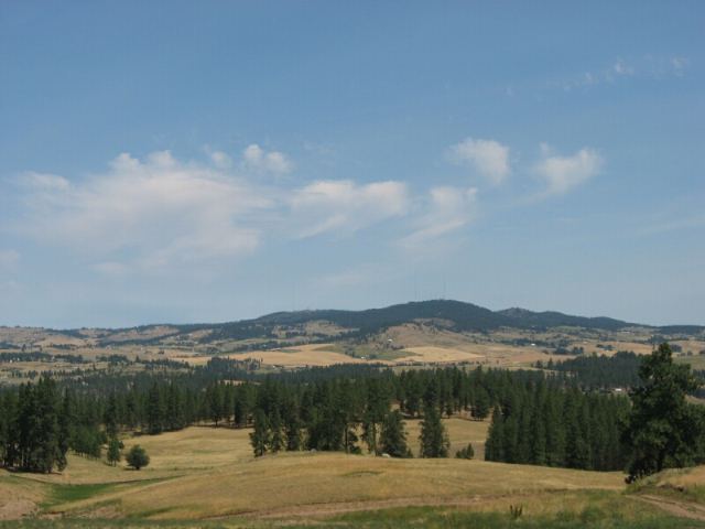 0 Stentz Road, Unit LOT 7 Spangle, WA 99031 - Photo 2 of 4 Gallery Image 2