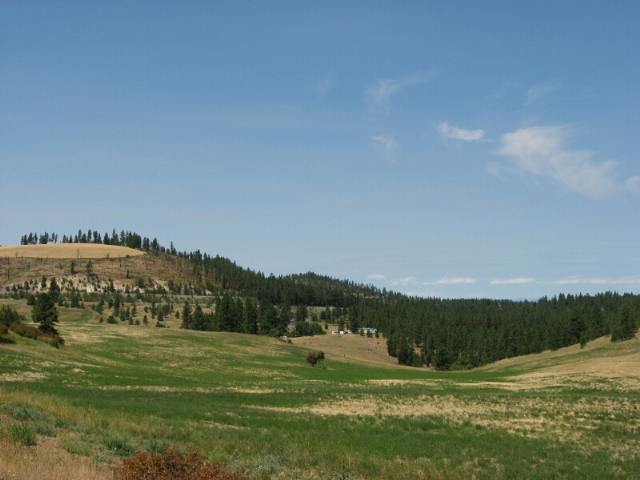 0 Stentz Road, Unit LOT 7 Spangle, WA 99031 - Photo 4 of 4 Gallery Image 4