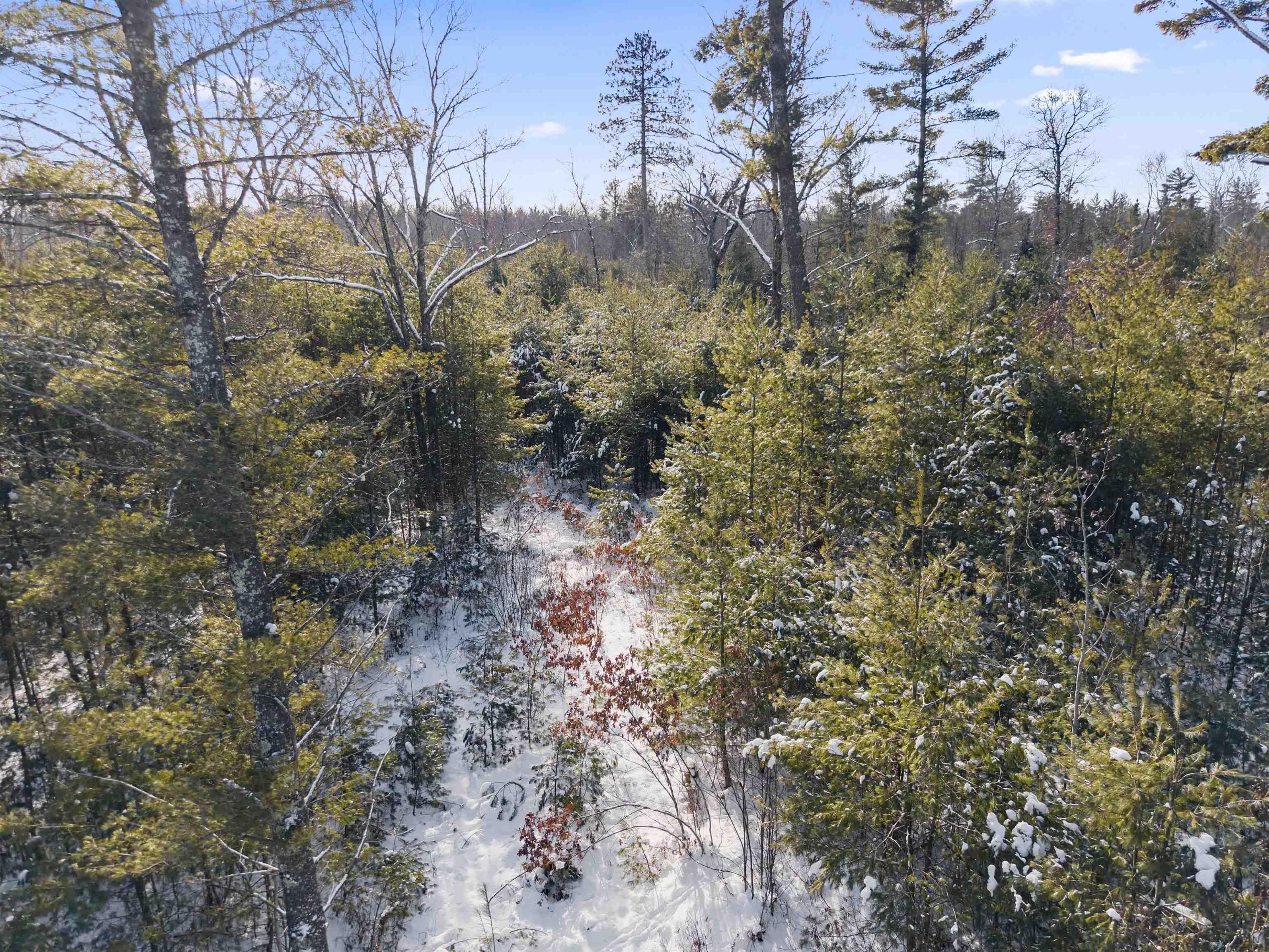 Meadowbrook Lane Athelstane, WI 54104 - Photo 1 of 9