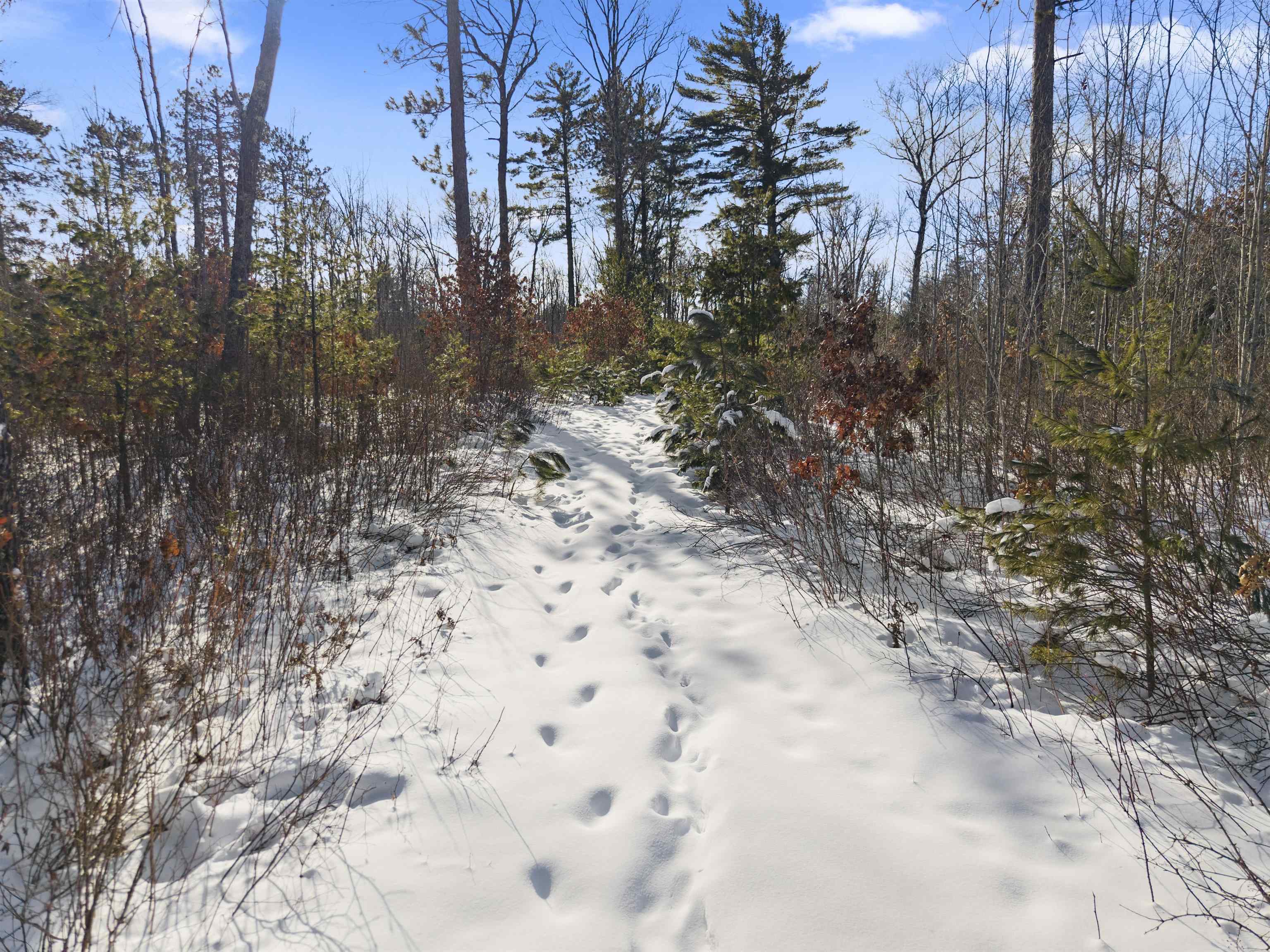 Meadowbrook Lane Athelstane, WI 54104 - Photo 2 of 9