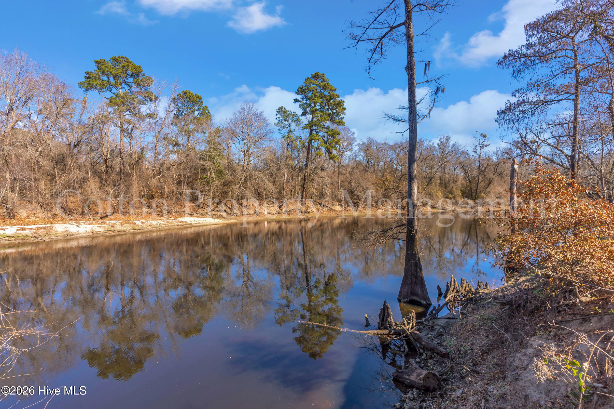 2621 Croomsbridge Road Burgaw, NC 28425 - Photo 23 of 46 2621 croomsbridge rd 00023