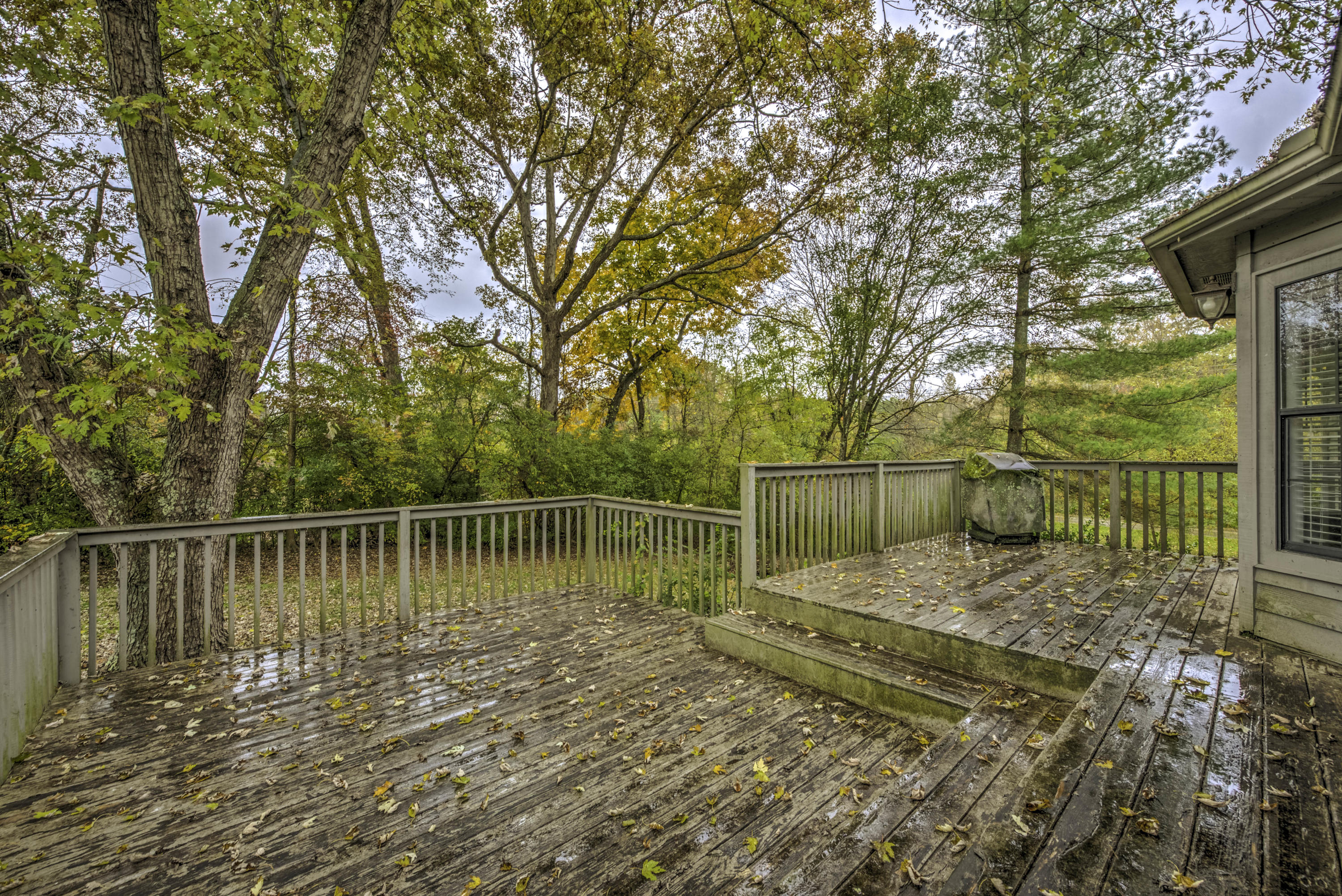 6706 Lindal Road Knoxville, TN 37931 - Photo 22 of 26 22