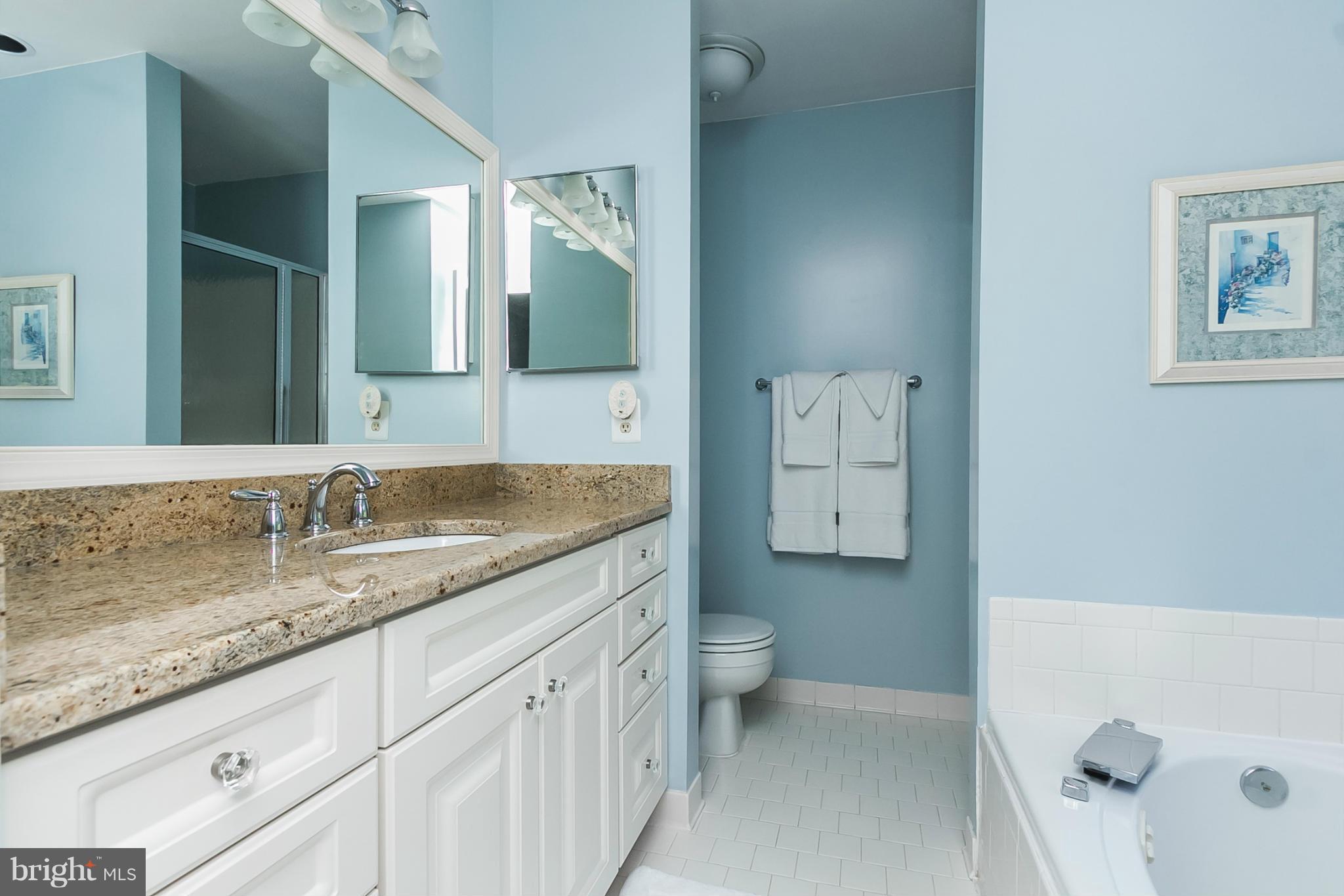 9540 Hallhurst Road Baltimore, MD 21236 - Photo 11 of 28 Bath (Master)