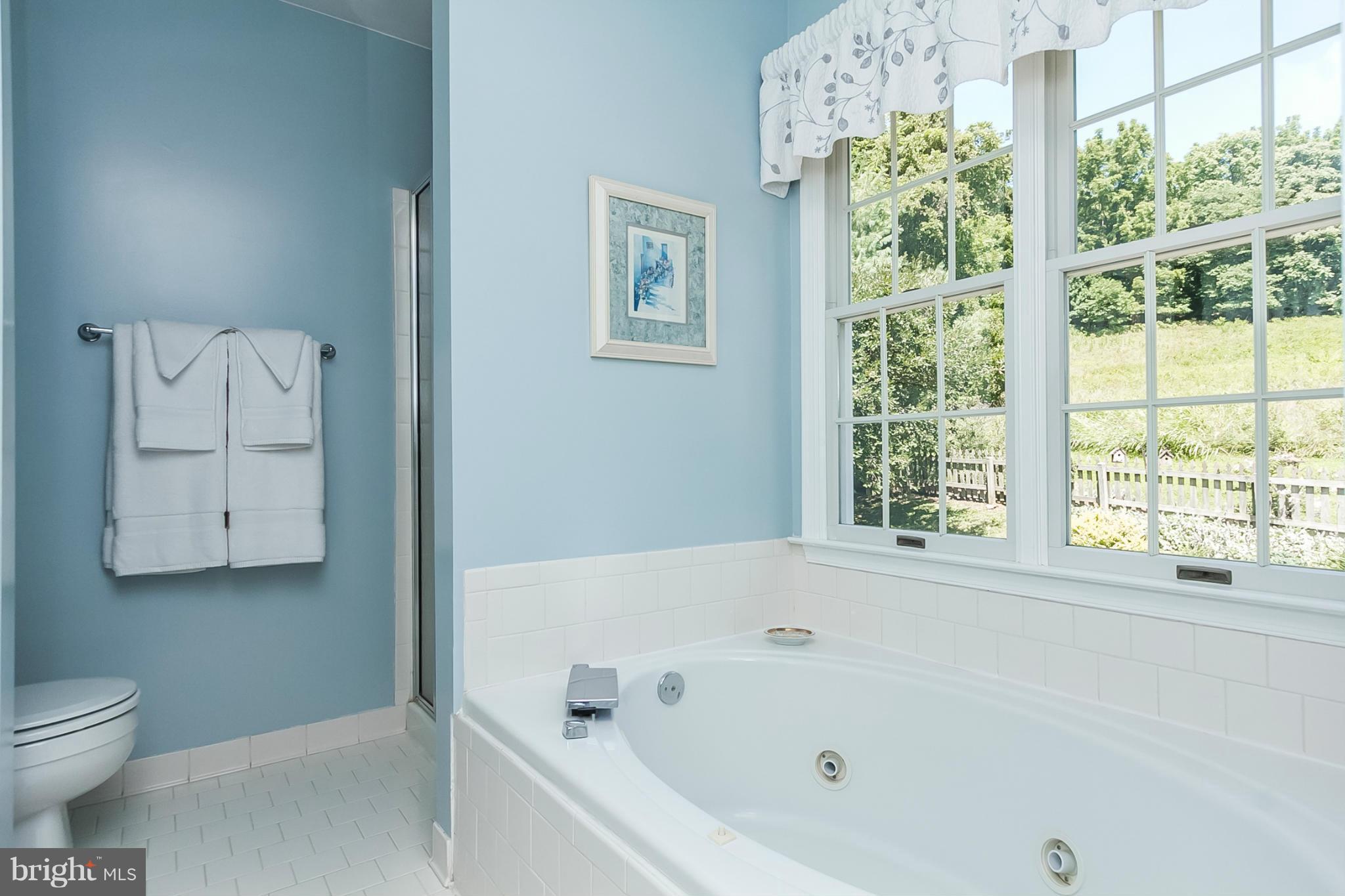 9540 Hallhurst Road Baltimore, MD 21236 - Photo 12 of 28 Bath (Master)