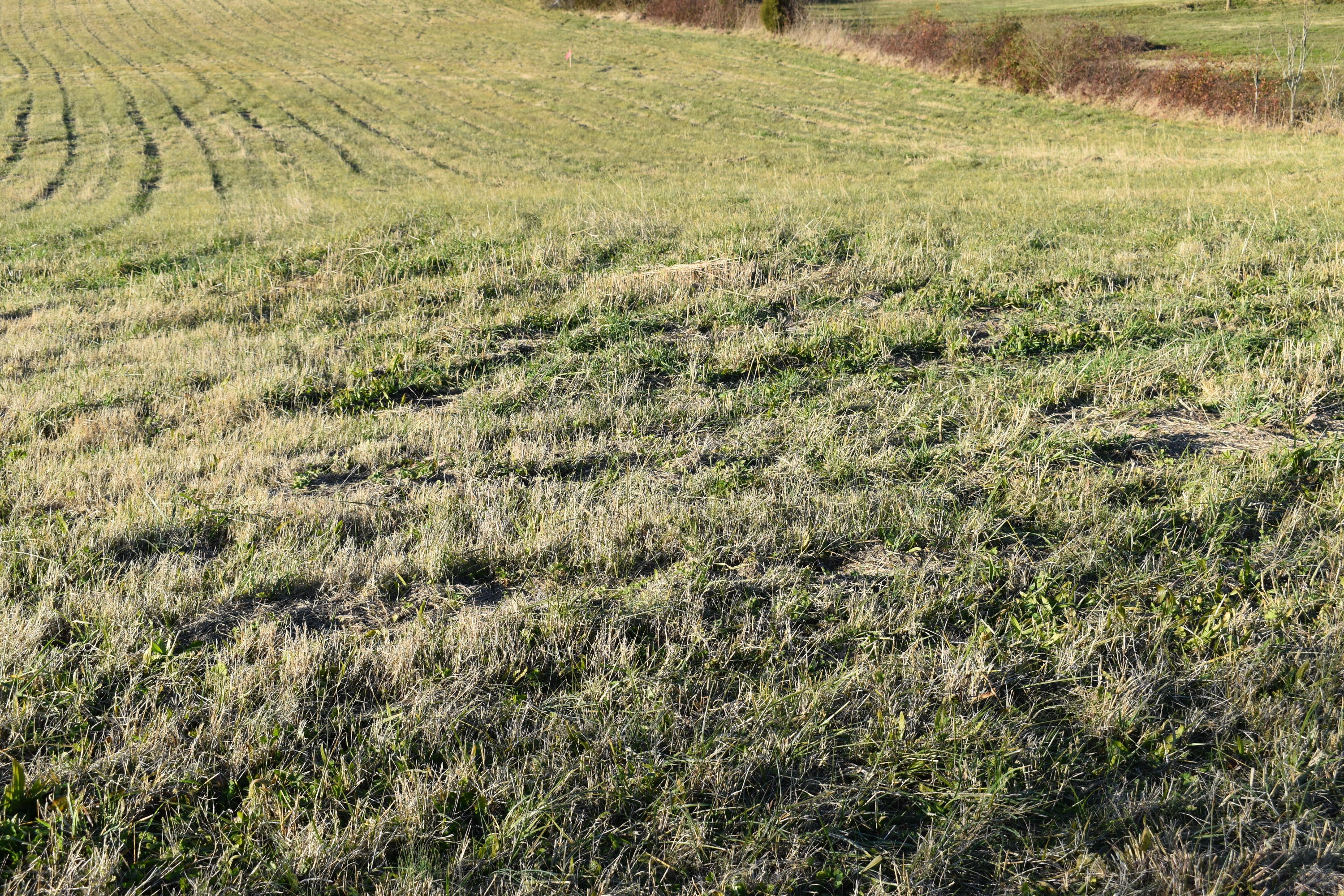 Lot 2 McCleary Road Sevierville, TN 37876 - Photo 2 of 2 DSC_0018