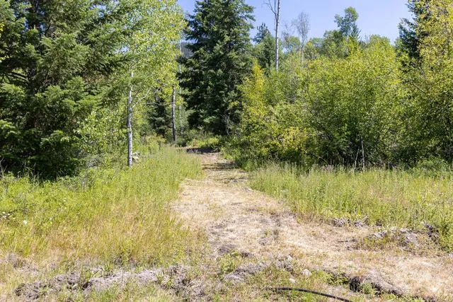 $349,000 | 253 White Mountain Road, Curlew, WA 99118