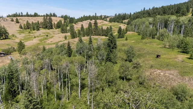 $349,000 | 253 White Mountain Road, Curlew, WA 99118