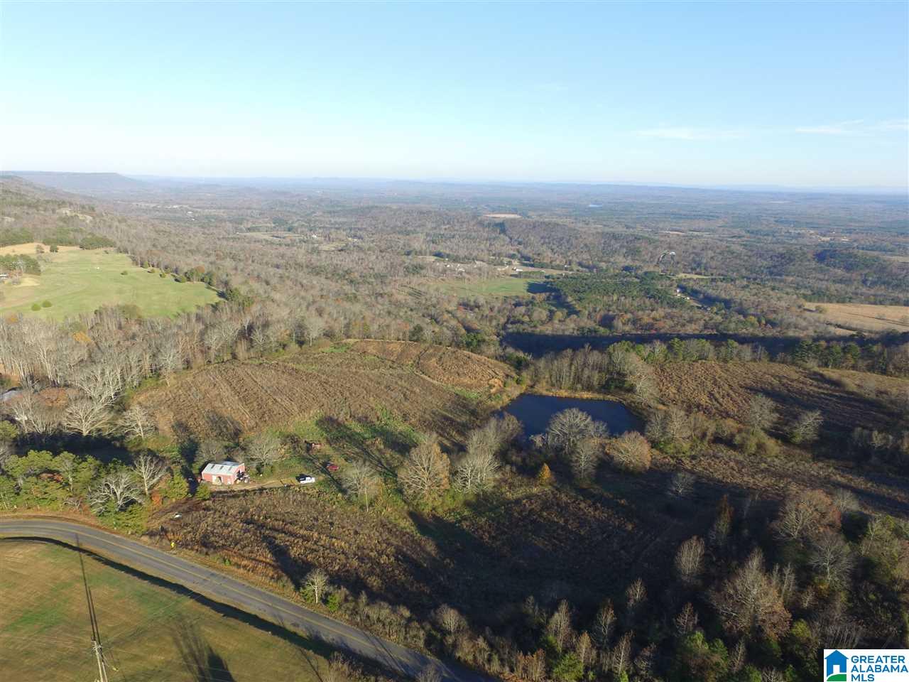 0 County Road 24, Unit 49 / ACRES Springville, AL 35146 - Photo 4 of 18