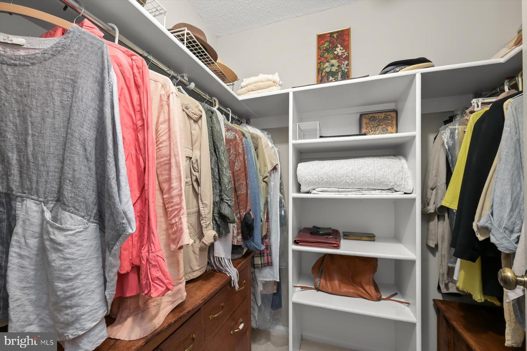 15107 Interlachen Drive, Unit 2725 Silver Spring, MD 20906 - Photo 30 of 35 Walk in closet