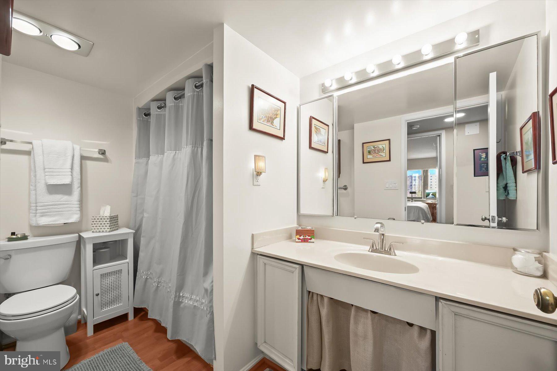 15107 Interlachen Drive, Unit 2725 Silver Spring, MD 20906 - Photo 31 of 35 Large bathroom w/ tub shower and vanity area