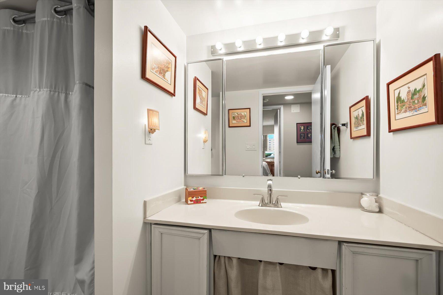 15107 Interlachen Drive, Unit 2725 Silver Spring, MD 20906 - Photo 32 of 35 sink and dressing area