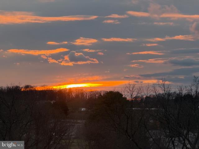 15107 Interlachen Drive, Unit 2725 Silver Spring, MD 20906 - Photo 35 of 35 Gorgeous sunsets from this condo!