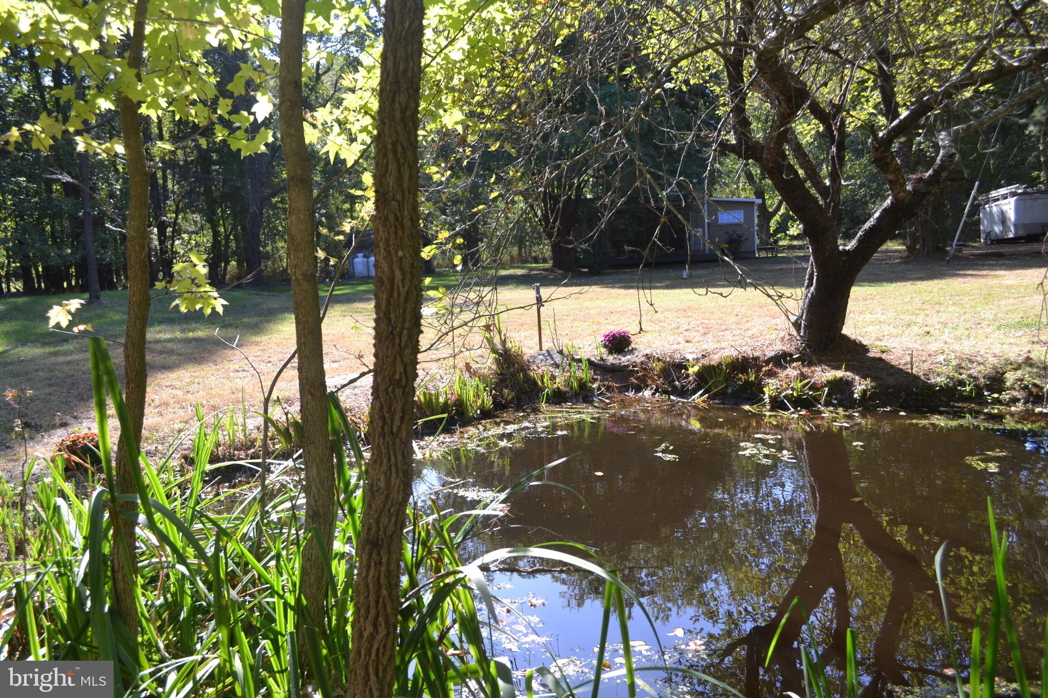 23261 Bush Neck Road Bozman, MD 21612 - Photo 25 of 27 Cute little pond
