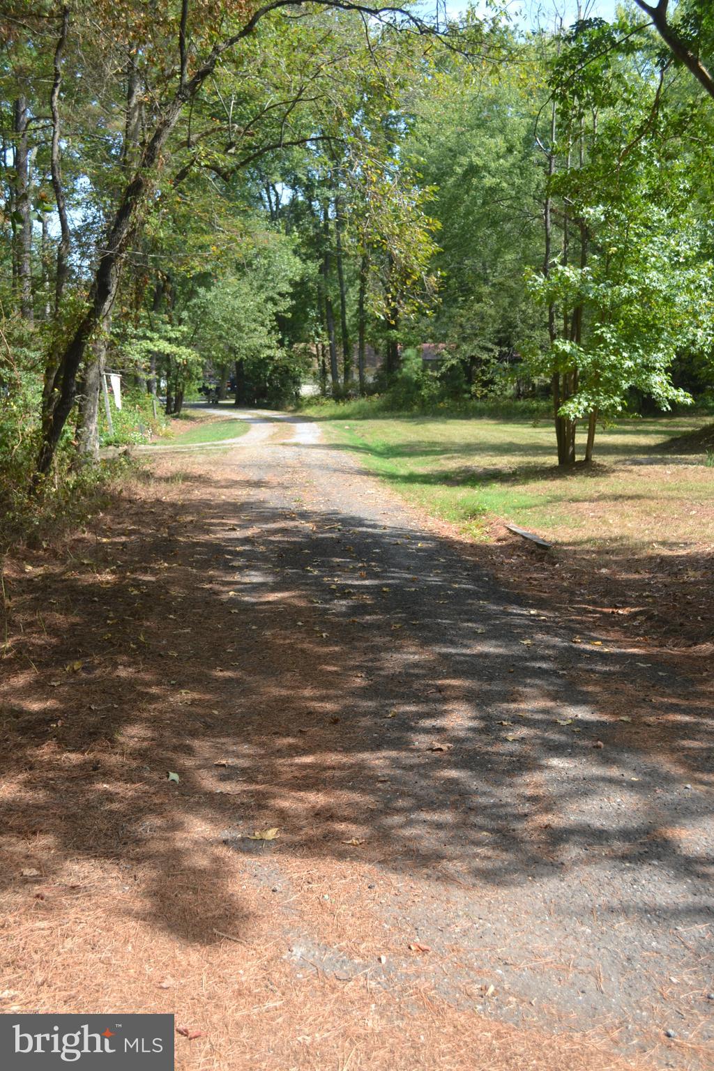 23261 Bush Neck Road Bozman, MD 21612 - Photo 27 of 27 Blacktopped lane