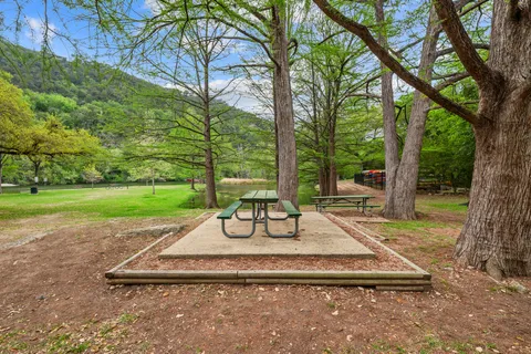 a view of a park with large trees