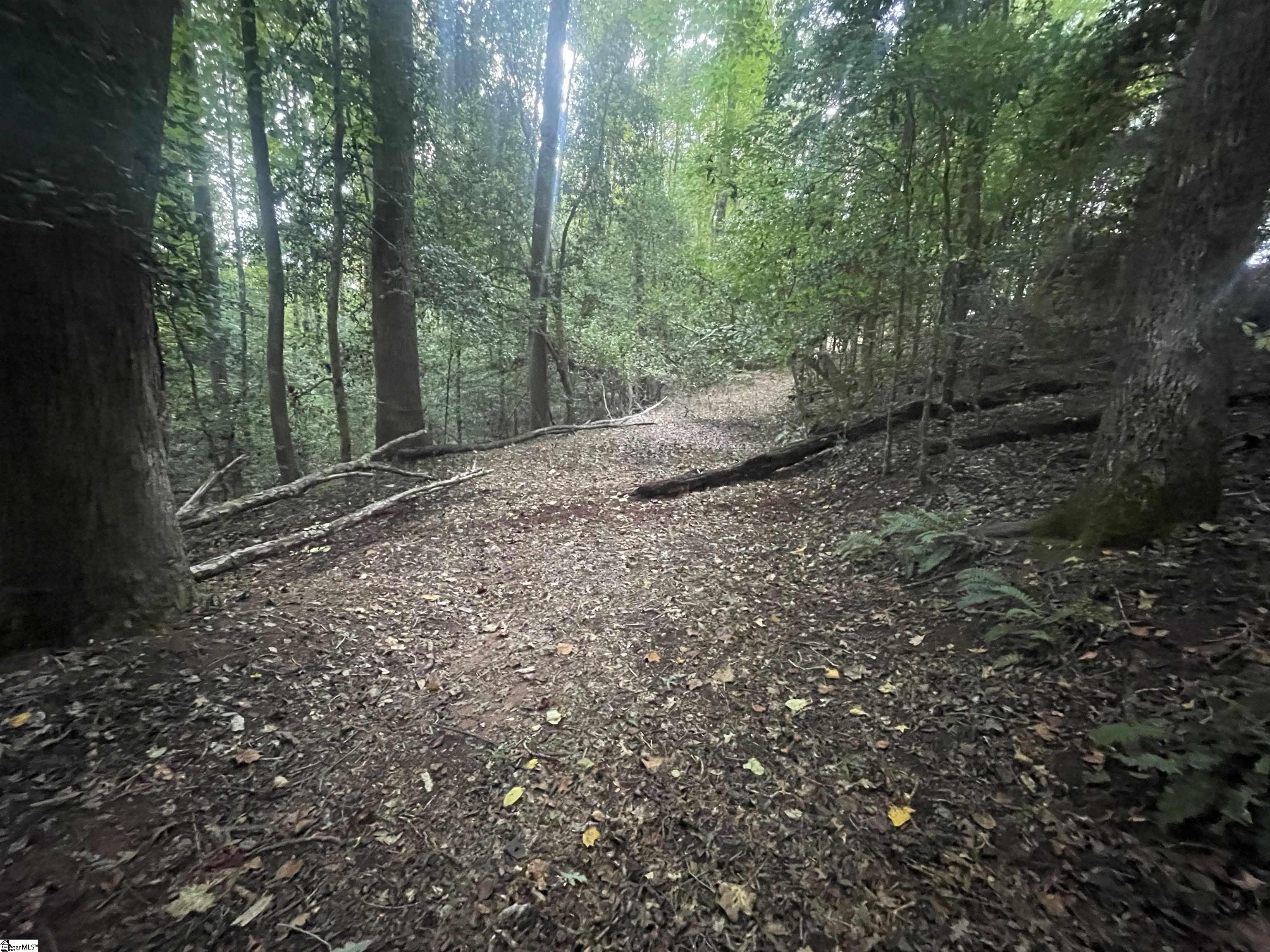 183 Walhalla Highway Pickens, SC 29671 - Photo 4 of 8