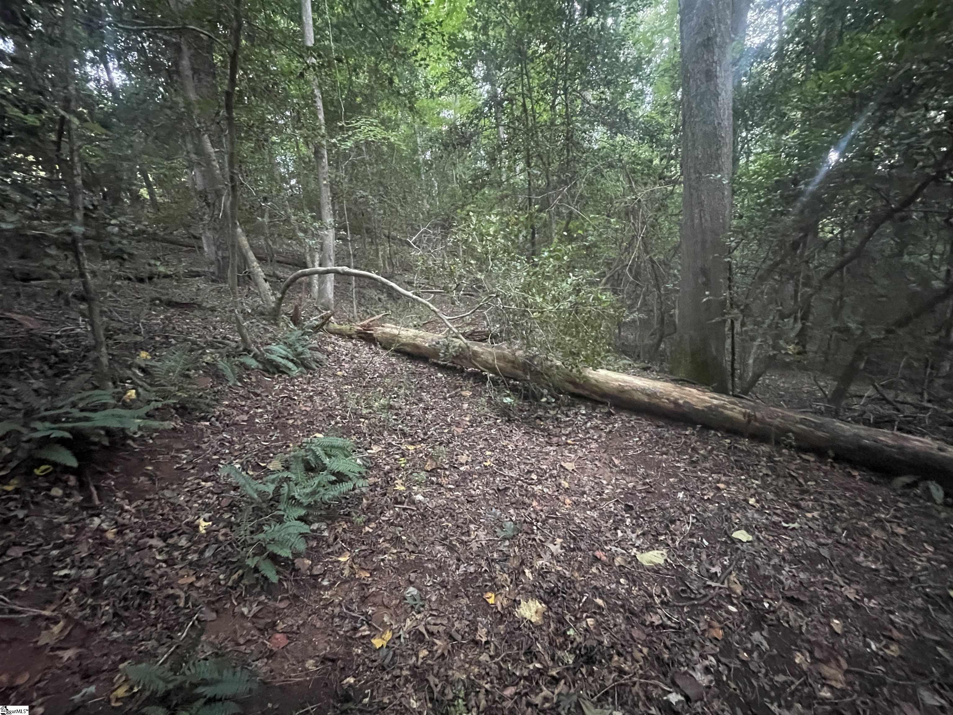 183 Walhalla Highway Pickens, SC 29671 - Photo 5 of 8