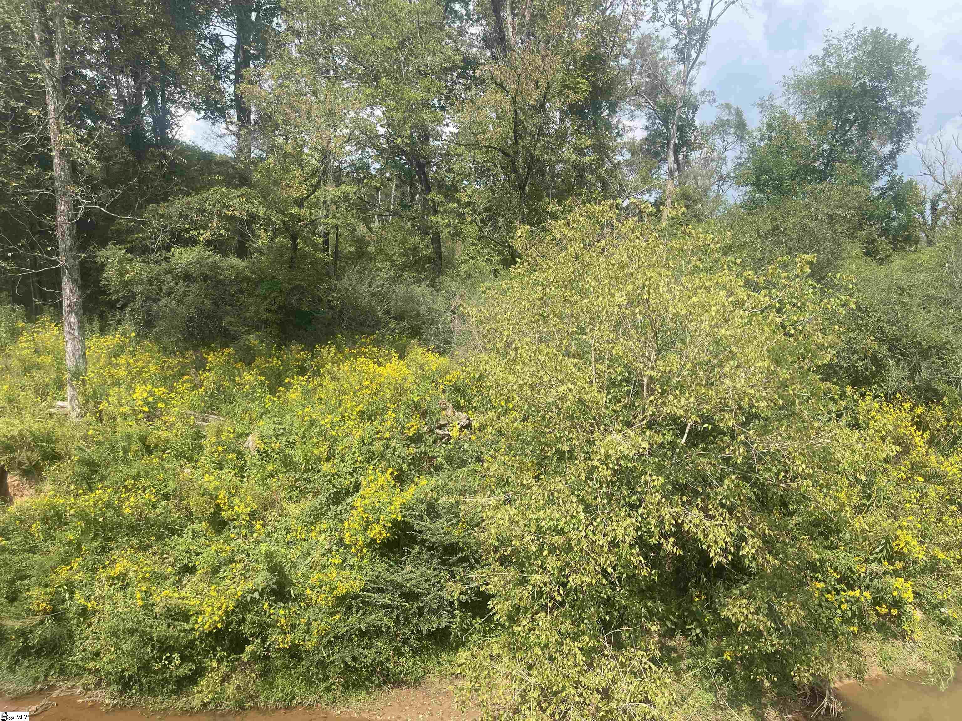 183 Walhalla Highway Pickens, SC 29671 - Photo 7 of 8