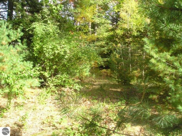 10293 Wildwood Road Interlochen, MI 49643 - Photo 4 of 5 1778003-3.JPG