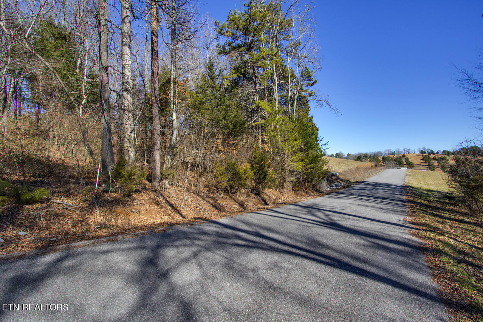 The Gates Drive, Unit 61 Decatur, TN 37322 - Photo 3 of 14 03_TheGatesDive_Lot61_Street_NE