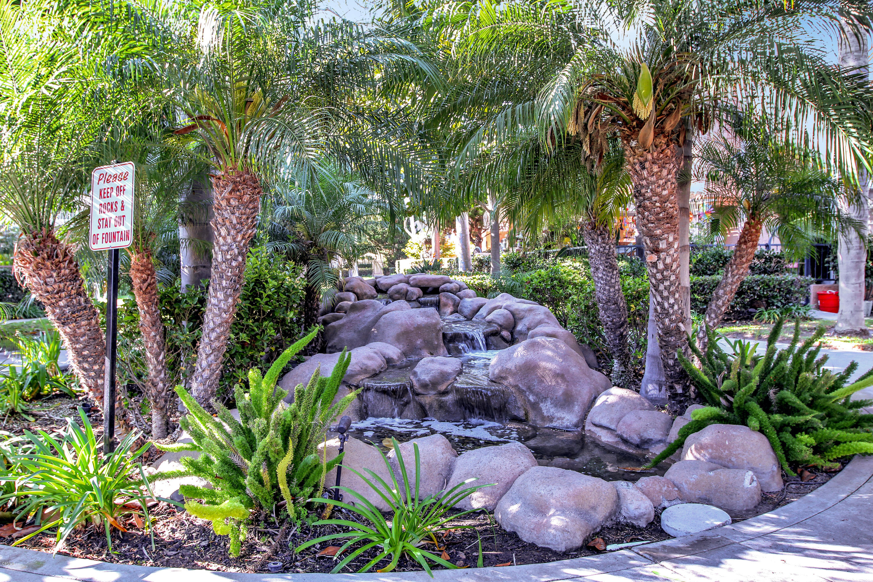 1303 Lost Point Lane Oxnard, CA 93030 - Photo 25 of 28 a view of a backyard with plants