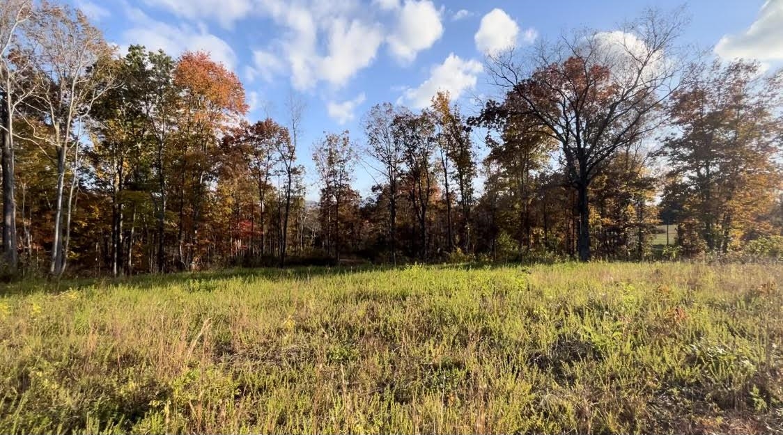 2 Lake Adger Road Mill Spring, NC 28756 - Photo 1 of 6