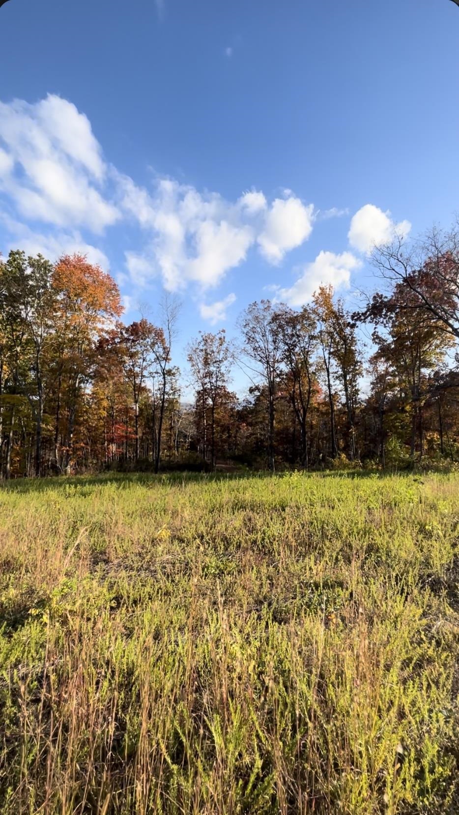 2 Lake Adger Road Mill Spring, NC 28756 - Photo 3 of 6